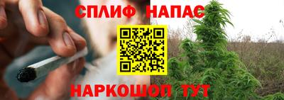 МДПВ Сланцы