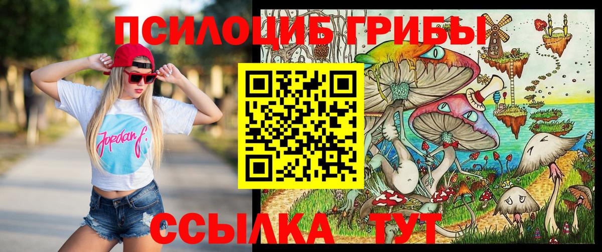Галлюциногенные грибы GOLDEN TEACHER  Вход с VPN  Ногинск 