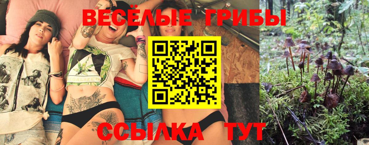 Галлюциногенные грибы Psilocybine cubensis Ногинск